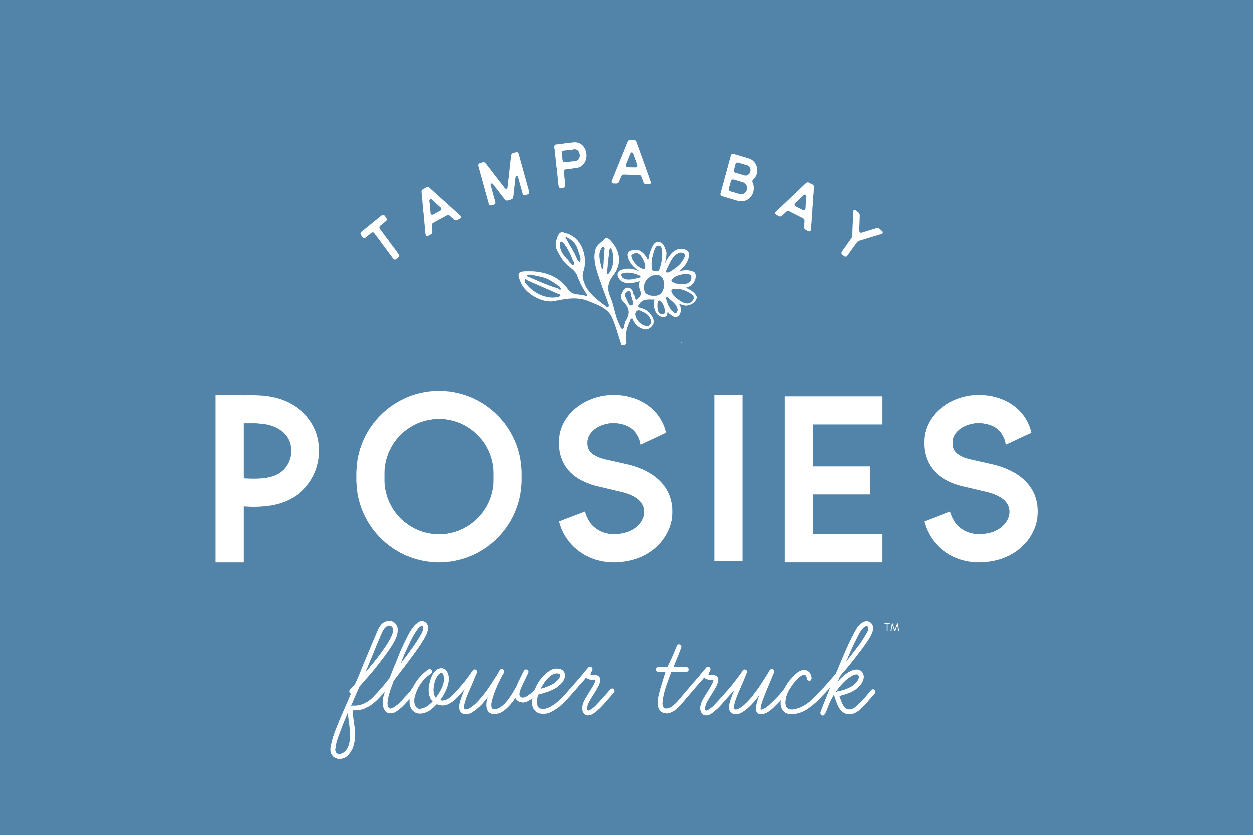 Posies - Tampa Bay - Blue BG