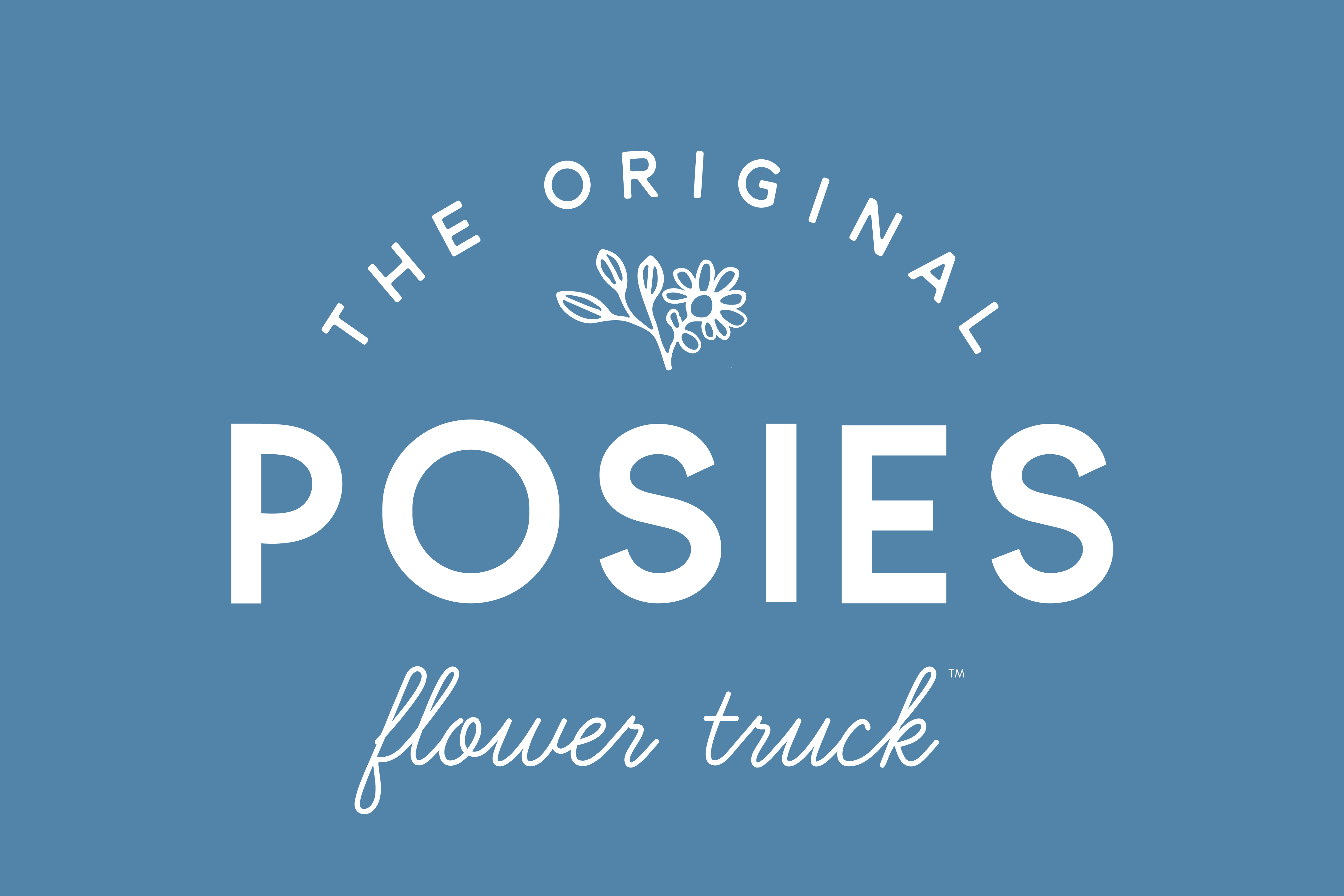 Posies - The Original - Blue BG